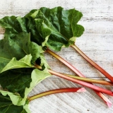 Kada ubrati rabarbaru u prehrambene i medicinske svrhe